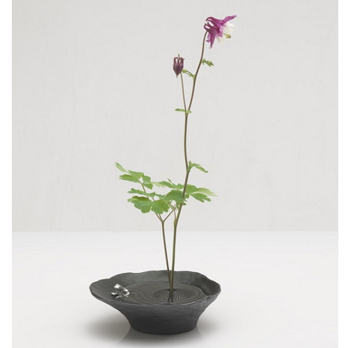 Chậu cắm hoa phong cách Ikebana - Dạng cổ điển